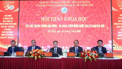 Exchange and give advice to help Da Nang enter the era of national growth