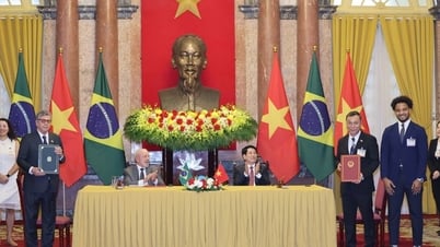 Cầu thủ trẻ Việt Nam có cơ hội tập huấn, thi đấu giao hữu tại Brazil