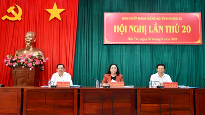 Hội nghị lần thứ 20 Ban Chấp hành Đảng bộ tỉnh khóa XI