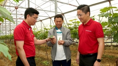 មេរៀនទី១៖ អមដោយការទទួលខុសត្រូវ និងសេចក្តីសប្បុរស