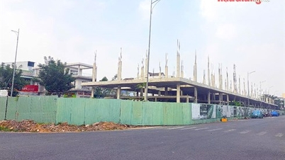 Determined to completely handle slow-progressing investment projects