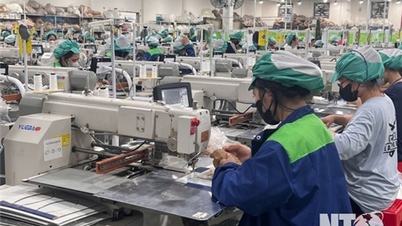 Many job opportunities, workers tend to return to their hometown to work
