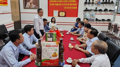 សកម្មភាពជាច្រើនដើម្បីអបអរសាទរខួបលើកទី 100 នៃទិវាសារព័ត៌មានបដិវត្តន៍វៀតណាម ថ្ងៃទី 21 ខែមិថុនា