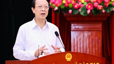 Deputy Minister of Education and Training: No compromise with extra teaching and learning