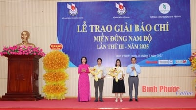 រង្វាន់ចំនួន 22 ត្រូវបានផ្តល់ជូនអ្នកនិពន្ធ និងក្រុមអ្នកនិពន្ធ។