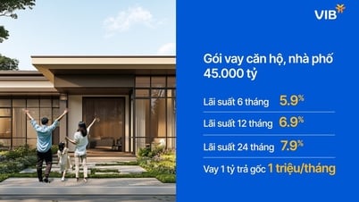 VIB ra mắt gói vay căn hộ, nhà phố quy mô 45.000 tỷ