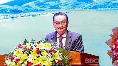Binh Dinh attracts investors