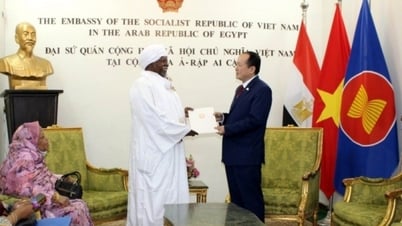 Mr. Bakri Osman was reappointed as Honorary Consul of Vietnam in Sudan.