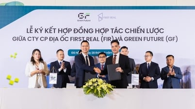 Đưa 1.000 xe điện VinFast vào phục vụ du lịch xanh ở Đà Nẵng