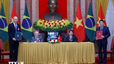 Vietnam-Brazil Strategic Partnership is Deepening