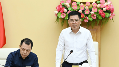 Dự án 500kV Lào Cai - Vĩnh Yên: 'Không để sát nút mới chạy, can thiệp chỗ này chỗ kia'