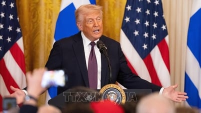 Tổng thống D. Trump rút đề cử ứng viên Đại sứ Mỹ tại Liên hợp quốc