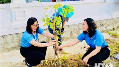 Phan Rang - Thap Cham City builds cultural life and civilized urban lifestyle