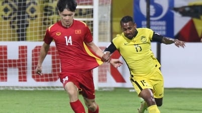 Opponents naturalize more than half of Vietnam's squad in Asian Cup qualifiers