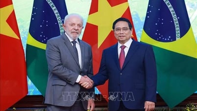 Việt Nam-Brazil đánh giá cao tiềm năng hợp tác giữa hai nền bóng đá