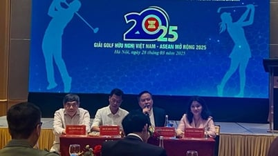 In 2036 - 2046, Vietnamese sports strive to be in the top 15 in Asia.