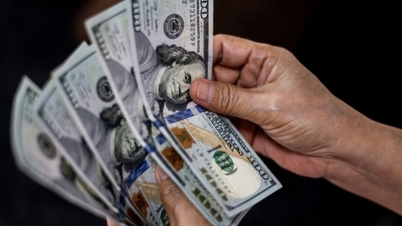 오늘의 USD 환율 04/30/2025: USD 하락, 유로화 상승 지속