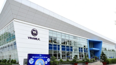 Cổ đông Vinamilk sắp đón tin vui mùa đại hội
