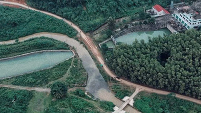A partir del 29 de marzo, aumento del precio del agua de Song Da Clean Water Company