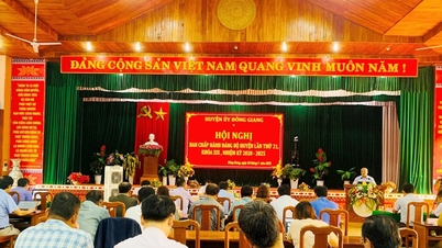 ចំណូលថវិកាត្រីមាសទីមួយរបស់ Dong Giang បានកើនឡើង 3.2%