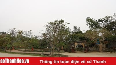 Hướng tới Kỷ niệm 60 năm Hàm Rồng chiến thắng: Làng Đông Sơn