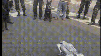Roboterhund, der mit Polizeihund „spielt“, verursacht Fieber in Da Nang