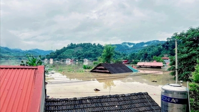 Raising the level of support to overcome the consequences of storm No. 3 and post-storm floods in Bac Kan province