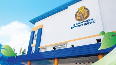 Bộ Y tế yêu cầu làm rõ vụ nghi ngờ ngộ độc thực phẩm tại hệ thống trường Tuệ Đức