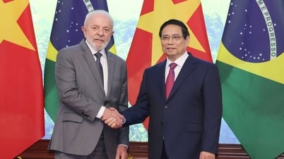 Президент Бразилии приглашает Вьетнам принять участие в саммите БРИКС и COP30