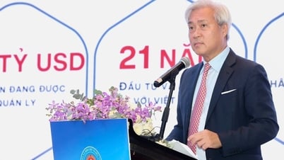 Vì sao Tổng Giám đốc Tập đoàn VinaCapital đề xuất cấm sử dụng cụm từ "chơi chứng khoán"?