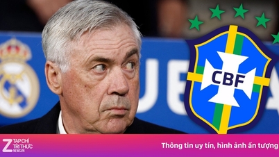 Brazil xác định huấn luyện viên mới