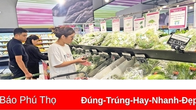 Giá một số mặt hàng ngày 29/3/2025
