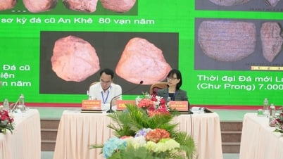 Gia Lai: Đề nghị nâng cấp Di tích Lịch sử - Văn hóa cấp quốc gia Plei Ơi thành di tích quốc gia đặc biệt