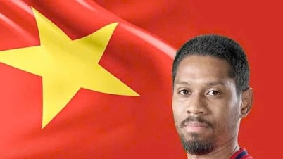 Indonesische Zeitung reagiert auf die Bekanntgabe der Einbürgerung vietnamesischer Spieler