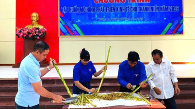 Tập huấn mô hình phát triển kinh tế cho 242 thanh niên huyện Krông Pa