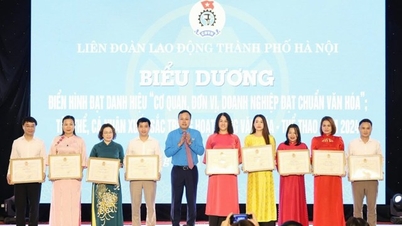 commend typical examples in cultural and sports activities