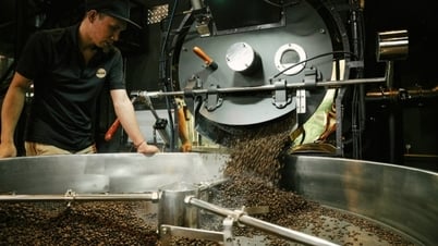 Giá cà phê hôm nay 29/3/2025, trong nước tiếp đà giảm