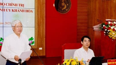Công bố quyết định của Bộ Chính trị, Ban Bí thư về việc kiểm tra đối với Ban Thường vụ Tỉnh ủy Khánh Hòa