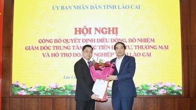 Lao Cai មាននាយកថ្មីនៃមជ្ឈមណ្ឌលសម្រាប់ការវិនិយោគ និងជំរុញពាណិជ្ជកម្ម