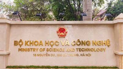 Functions, tasks and organizational structure of the Ministry of Science and Technology