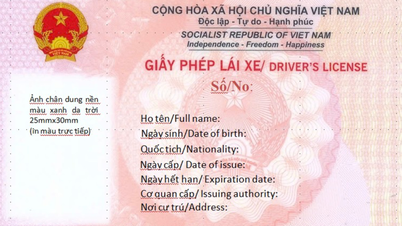 Image of new driver's license issued by the Ministry of Public Security