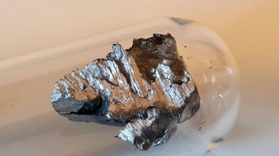 Promoting Vietnam's rare earth advantages