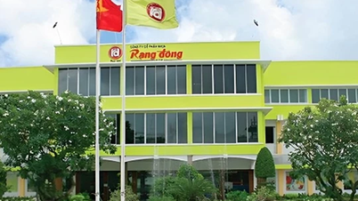 មេរៀនពីការដួលរលំនៃក្រុមហ៊ុនផ្លាស្ទិកដ៏ល្បីមួយ។