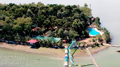 Dong Nai ស្នើសុំការបំភ្លឺអំពីការបែងចែកដី ២៤ ហិកតានៅលើកោះ O - Dong Truong