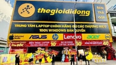Mobile World finds a way to solve the growth problem