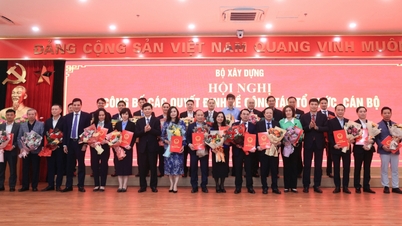 Bà Nguyễn Thị Hồng Nga, Tổng biên tập Báo Giao thông giữ chức Tổng biên tập Báo Xây dựng