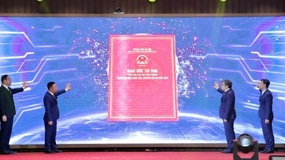 Signing a competitive covenant on promoting digital transformation throughout the political system