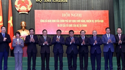Details of management areas assigned to the leaders of the Ministry of Finance
