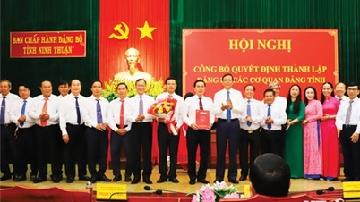 Tinh gọn bộ máy: Các cơ quan, đơn vị mới chính thức hoạt động từ ngày 1/3