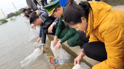 TX Quảng Yên thả 10 vạn cá giống về môi trường tự nhiên